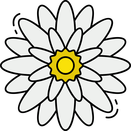 KRIZANTEMA